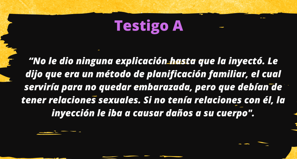  Diseño: Paolina Albani. 